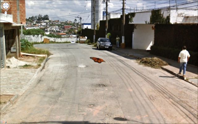 Google Street012
