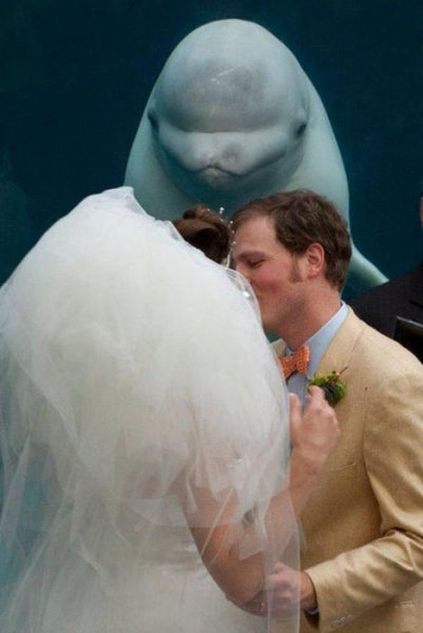 hilarious-wedding-photobomb-selection010