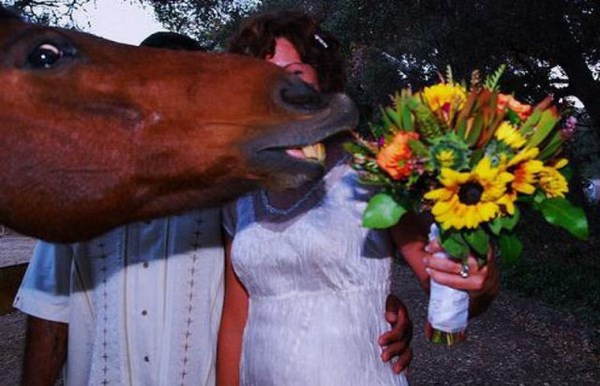 hilarious-wedding-photobomb-selection016