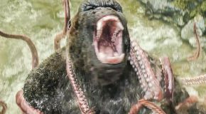 Kong : Skull Island All Trailer + Movie Clips