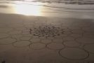 Lines In The Sand : When The Beach Becomes A Canvas