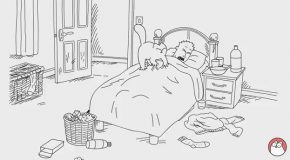 Simon’s Cat Tries to Make His Ailing Human Feel Better
