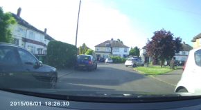 Child Throws Car Door Open