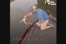 Kittens Swim Up To Fisherman’s Boat Looking For Help