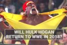 Is Hulk Hogan Planning A WWE Comeback In 2018?