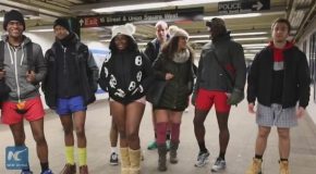 No Pants Subway Riders Brave Freezing Temperatures in New York city