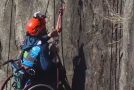 Wheelchair Won’t Stop Athlete From Mountain Climbing