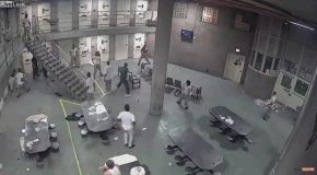 Fight Breaks Out in Cook County Jail