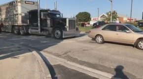 Animal Rights Protesters Attempt to Stop a Truck and Almost Get Run Over