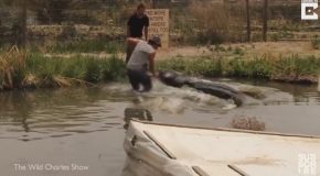 Alligator Almost Bites Off Livestreamer’s Hand