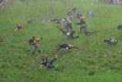 Best Wipeouts From England’s Annual Cheese Rolling Race