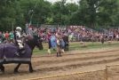 Jousting at Olde English Faire