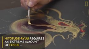 The Art of Single Stroke Painting in Japan