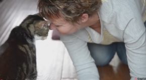 An Elderly Cat Returns Home to Her Beloved Human Over 13 Years