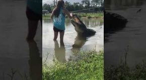 Girl Feeds Giant Gator