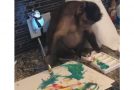 Monkey Paints a Picture