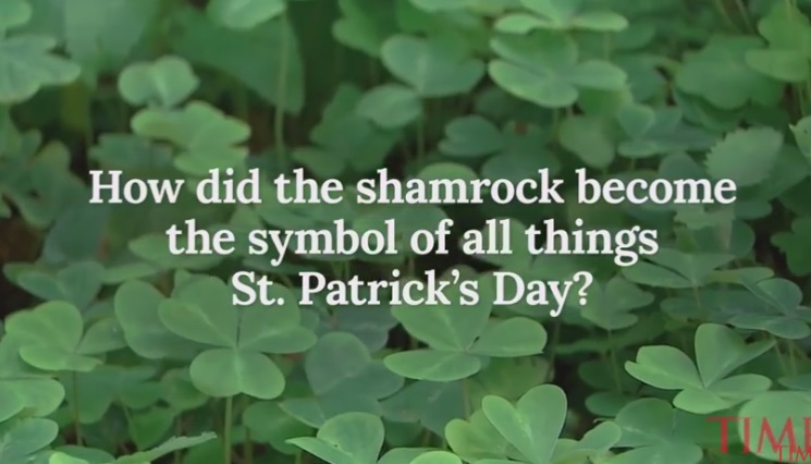 Mens Mag Daily Learn About St Patricks Day So You Can Annoy Your