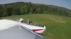The Accident of a Glider Because of a Tree