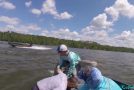 Man Thrown From Boat Going Full Speed