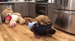 Puppy Helps with Workout Routine