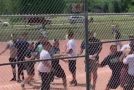 Colorado Little League Game Turns Into All Out Brawl