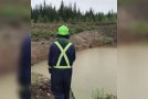 Guy Who Worked as a Bird Scarer Shows Exactly What the Job Entails