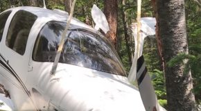 Plane Crash and Rescue from the Quebec Wilderness