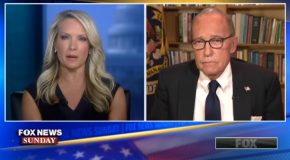 Larry Kudlow Talks Fallout From Trade Tensions With China
