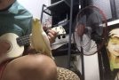 This Cockatiel Is Really Happy And It Knows It!