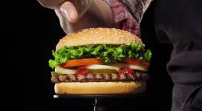 Burger King Showcases How No Preservatives Are Added To Their Burgers With This Decay Clip