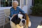 The Beautiful Friendship Between An Old Woman And Her Neighbor’s Dog!