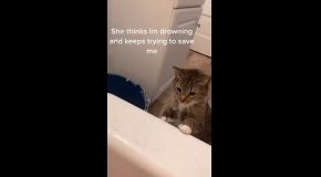 This Cat Wants To Save Human From Bathtub!
