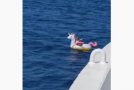Girl Floating On An Inflatable Unicorn Gets Lost, Gets Saved By Ferry Boat!
