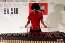 Guy Plays The Super Mario Songs On A Marimba Using 4 Mallets!