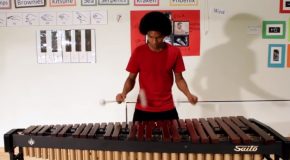 Guy Plays The Super Mario Songs On A Marimba Using 4 Mallets!