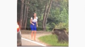 Stupid Woman Almost Gets Attacked By A Bear!