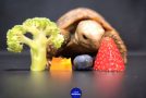 ASMR Clip Of Tortoise Eating Some Vegetables!