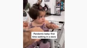 Baby Born During The Pandemic Visits A Grocery Store For The First Time!