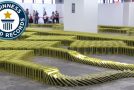Guinness World Record For The Largest Book Dominoes!