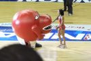 Toronto Raptors Mascot Ends Up Eating A Cheerleader!