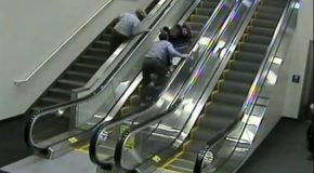 Wheelchair-Bound Woman Falls From Escalator!