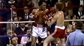 25 Of The Best Punches Ever!