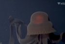 Incredibly Rare Giant Phantom Jellyfish Spotted By Researchers!