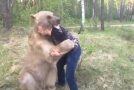 Russian Guy Plays Around Massive Bear