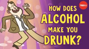 Looking Into How Alcohol Makes Us Drunk!