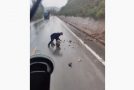 Good Samaritan Stops Car And Removes Rocks That Landed On The Road!