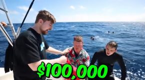 Swimming In Shark-Infested Water For $100,000!