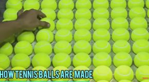 The Amazing Process Behind Mass-Producing Tennis Balls!