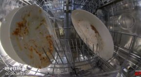 Watch How A Dishwasher Operates With The Help Of A GoPro Inside A Dishwasher!
