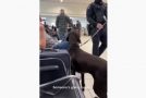 Sniffer Dog Sniffs Something Suspicious From A Person’s Bag At An Airport!